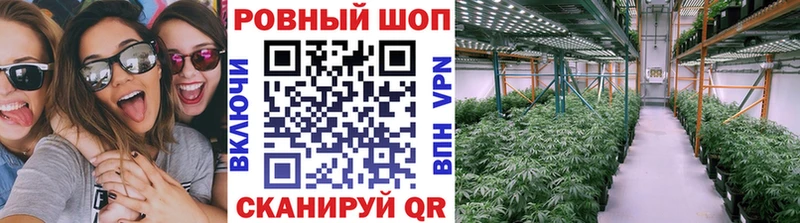 Названия наркотиков Новозыбков Лсд 25  Конопля  А ПВП  ГАШ  Псилоцибиновые грибы  МЕФ  Кокаин 
