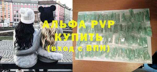 сатива Кинешма