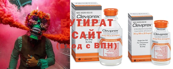 сатива Алексеевка
