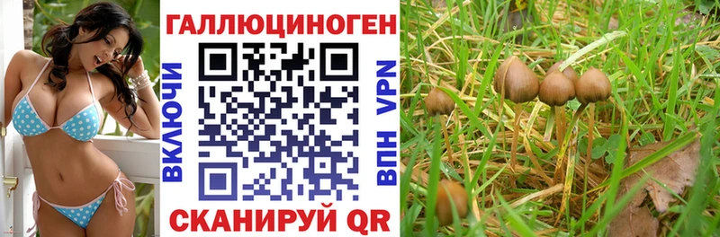 Псилоцибиновые грибы прущие грибы Новозыбков