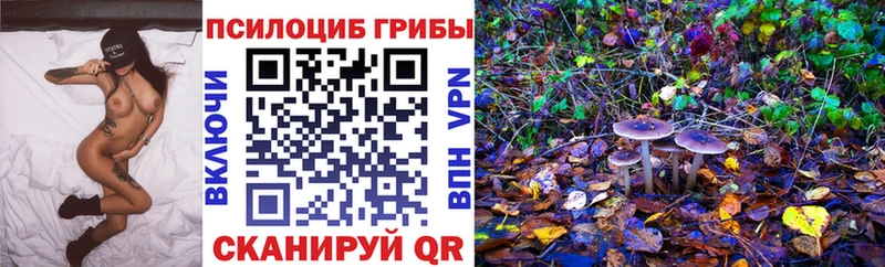 MEGA ONION  Новозыбков  Псилоцибиновые грибы MAGIC MUSHROOMS  даркнет официальный сайт  где купить  